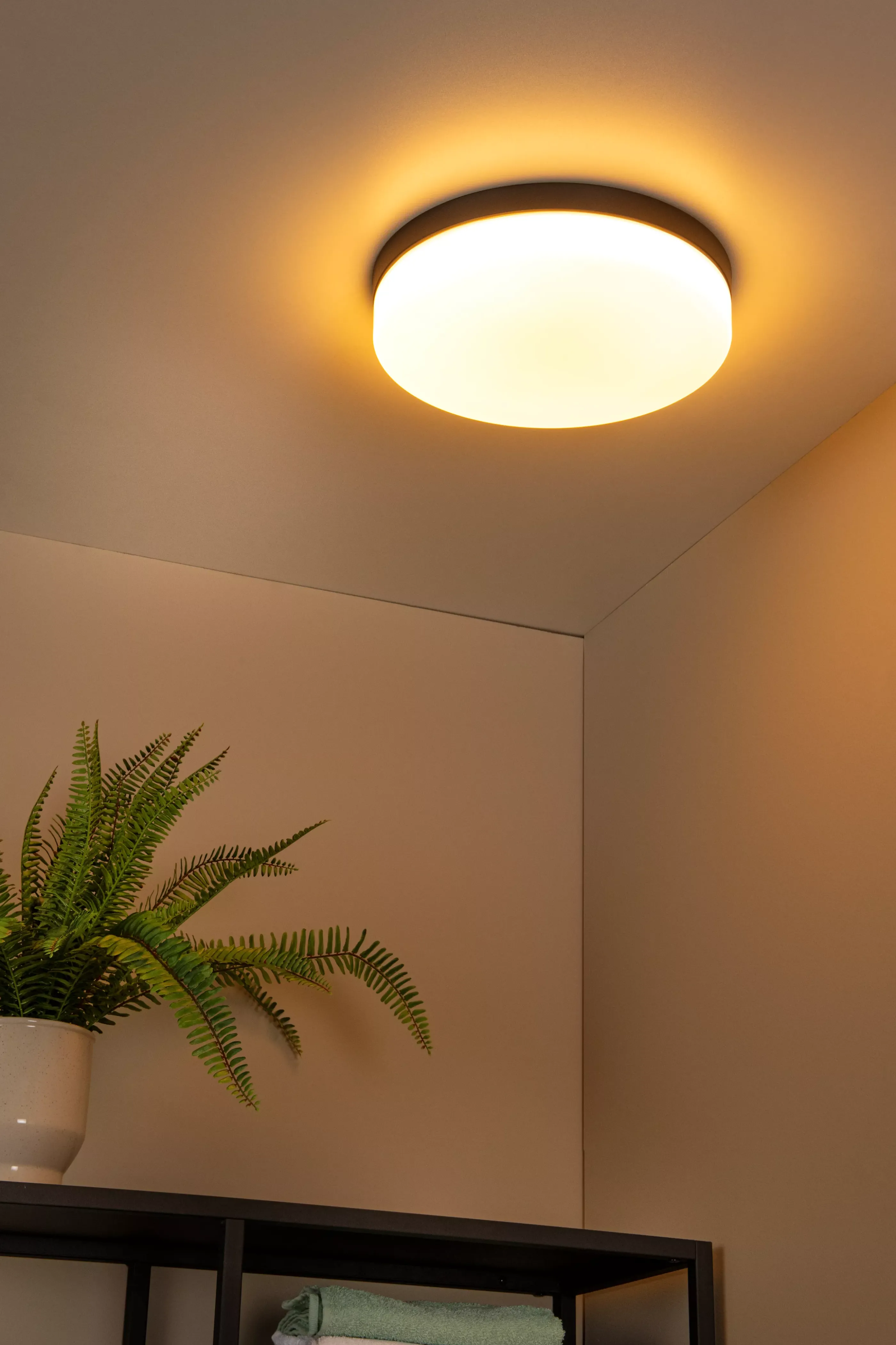 Hot BISKIT - Plafonnière Badkamer - Ø 34,5 cm - LED - 1x24W 2700K - IP44 - Beweging & dag/nacht sensor - Zwart Plafondlampen