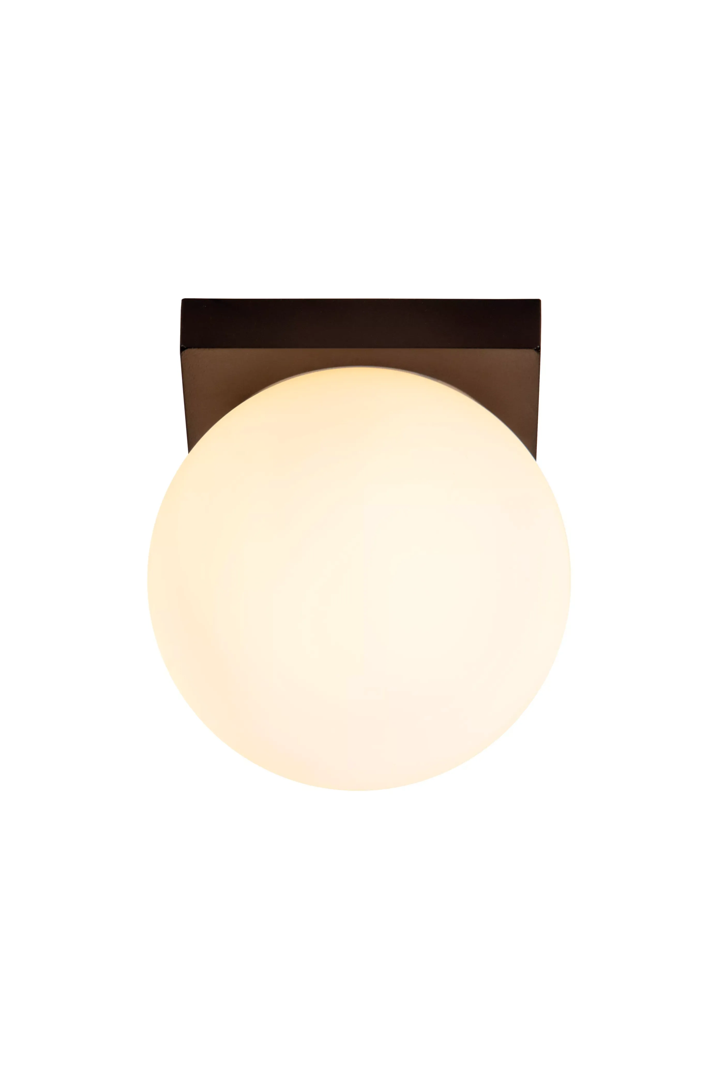 New TASSA - Plafonnière Badkamer - Ø 13,5 cm - LED Dim to warm - 1x12W 1800K/3000K - IP40 - Zwart Plafondlampen