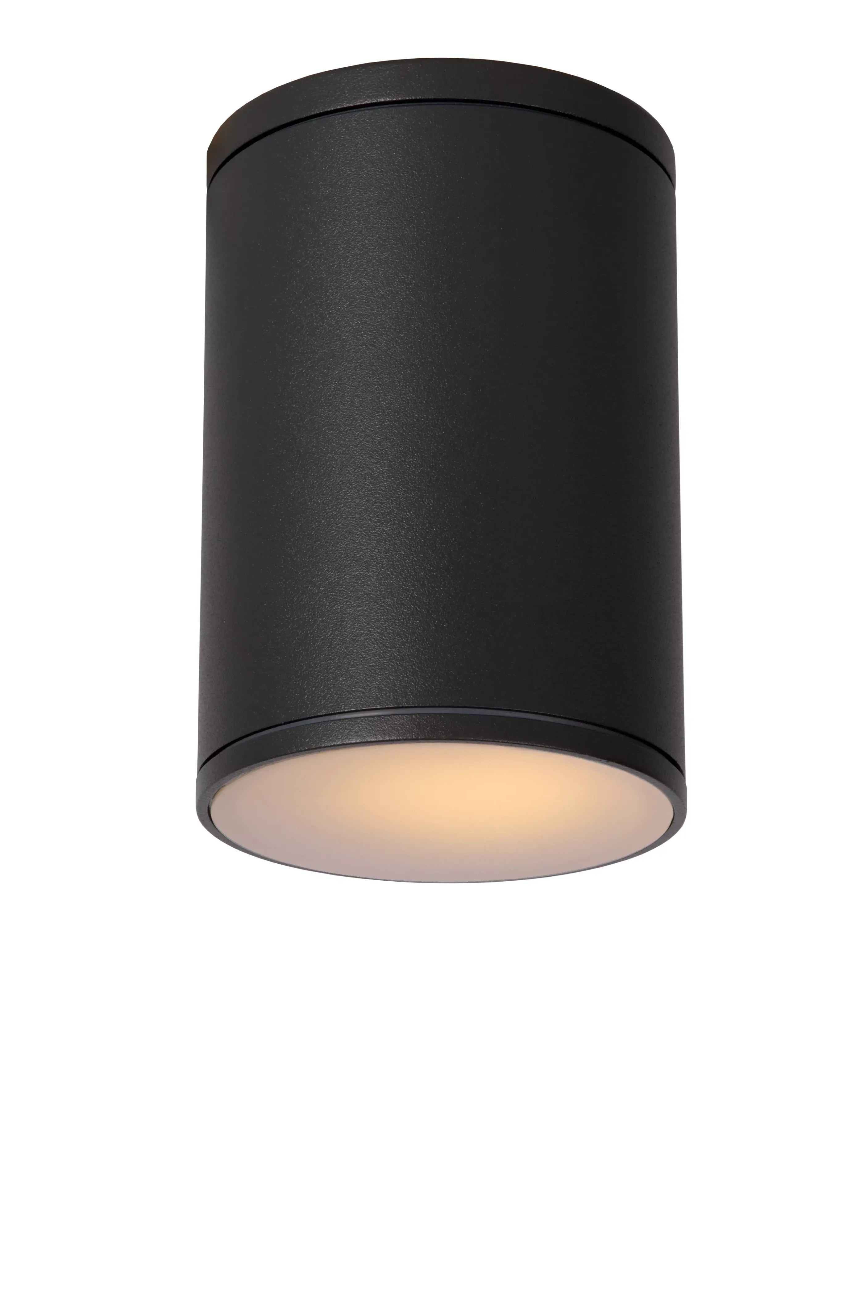 Clearance TUBIX - Plafondspot Binnen/Buiten - Ø 10,8 cm - 1xE27 - IP54 - Antraciet Plafondlampen Buiten